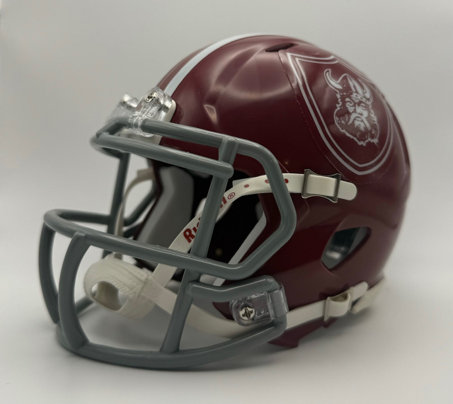 Lowndes Vikings HS 2017-2018 (GA) White Decals and Stripe